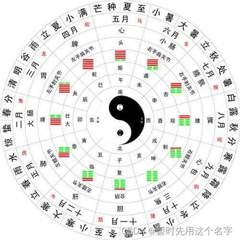 天干地支 時辰|天干和地支｜香港天文台(HKO)｜曆